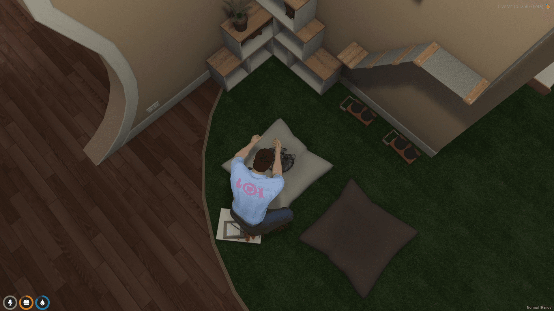 Pet Cat
